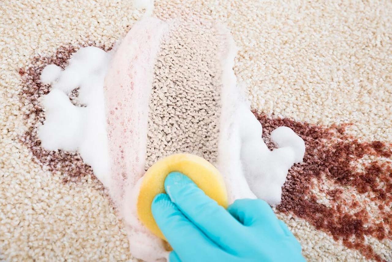 Easily Stained Carpet