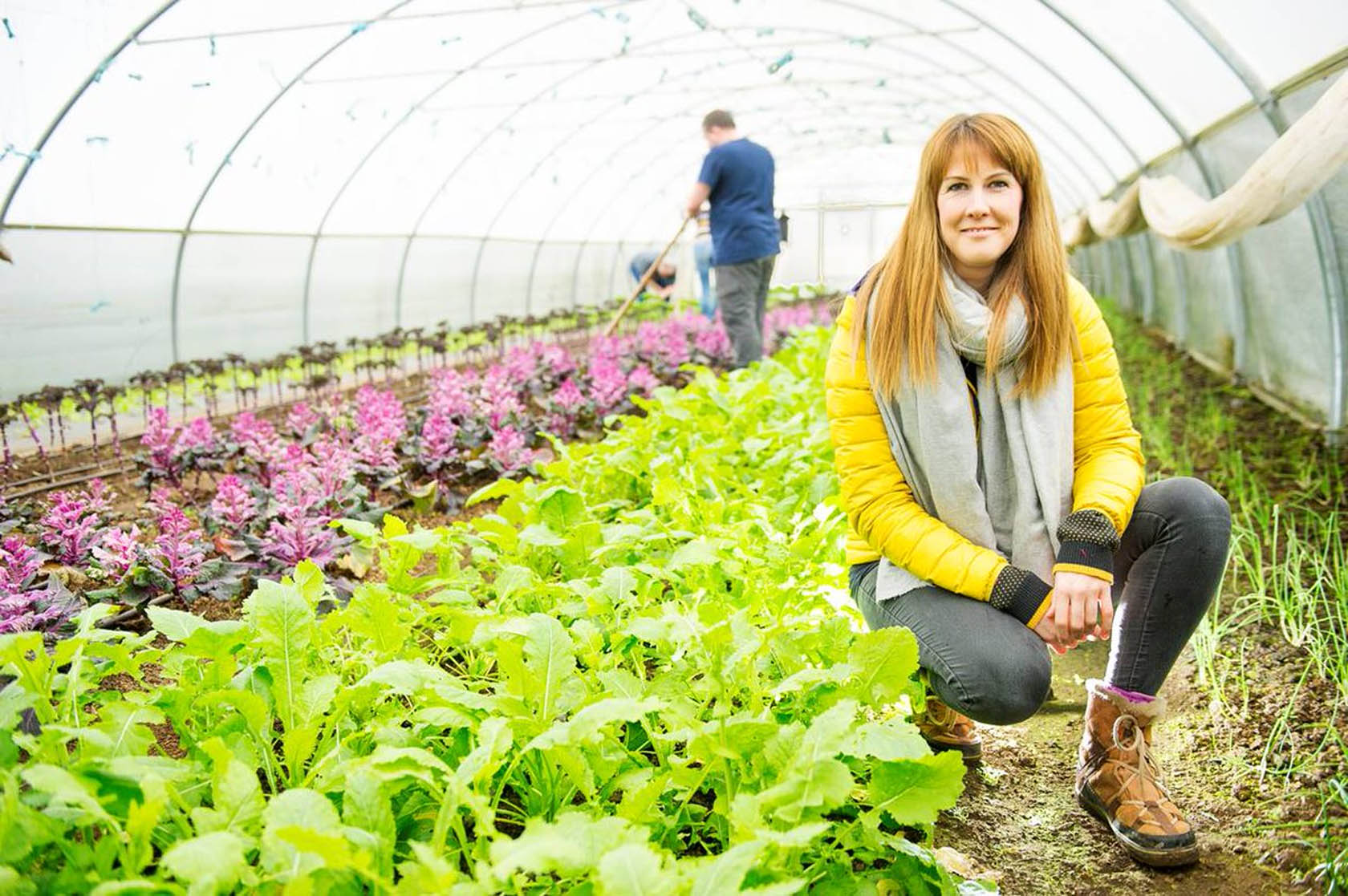 Tips To Make Your Farm Profitable