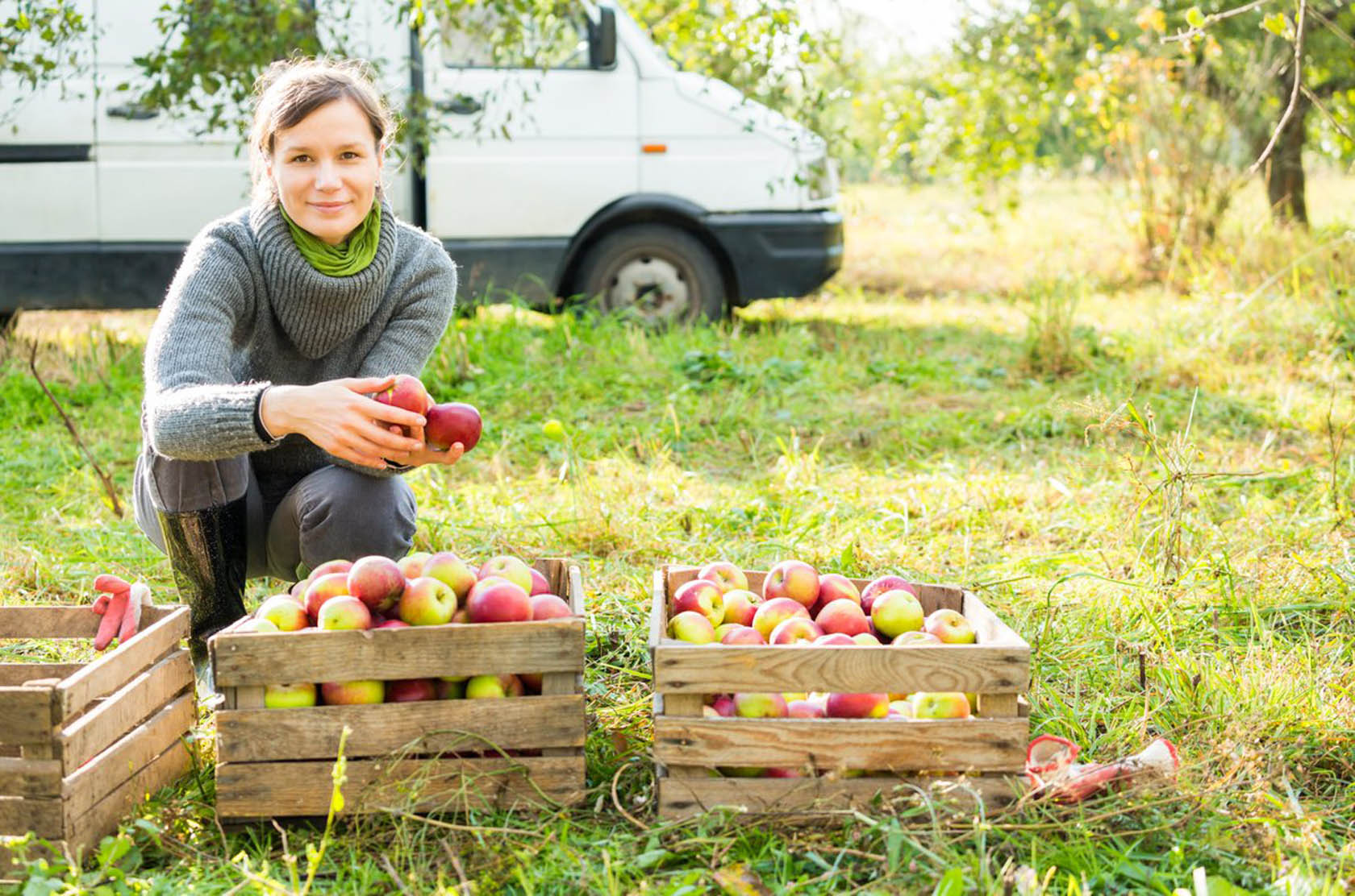 Sell Vegetables, Fruit, Or Flowers