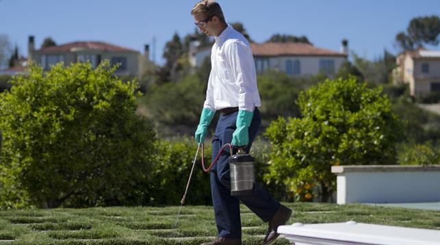 Pest Control
