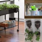 indoor-vegetable-garden-ideas.jpg
