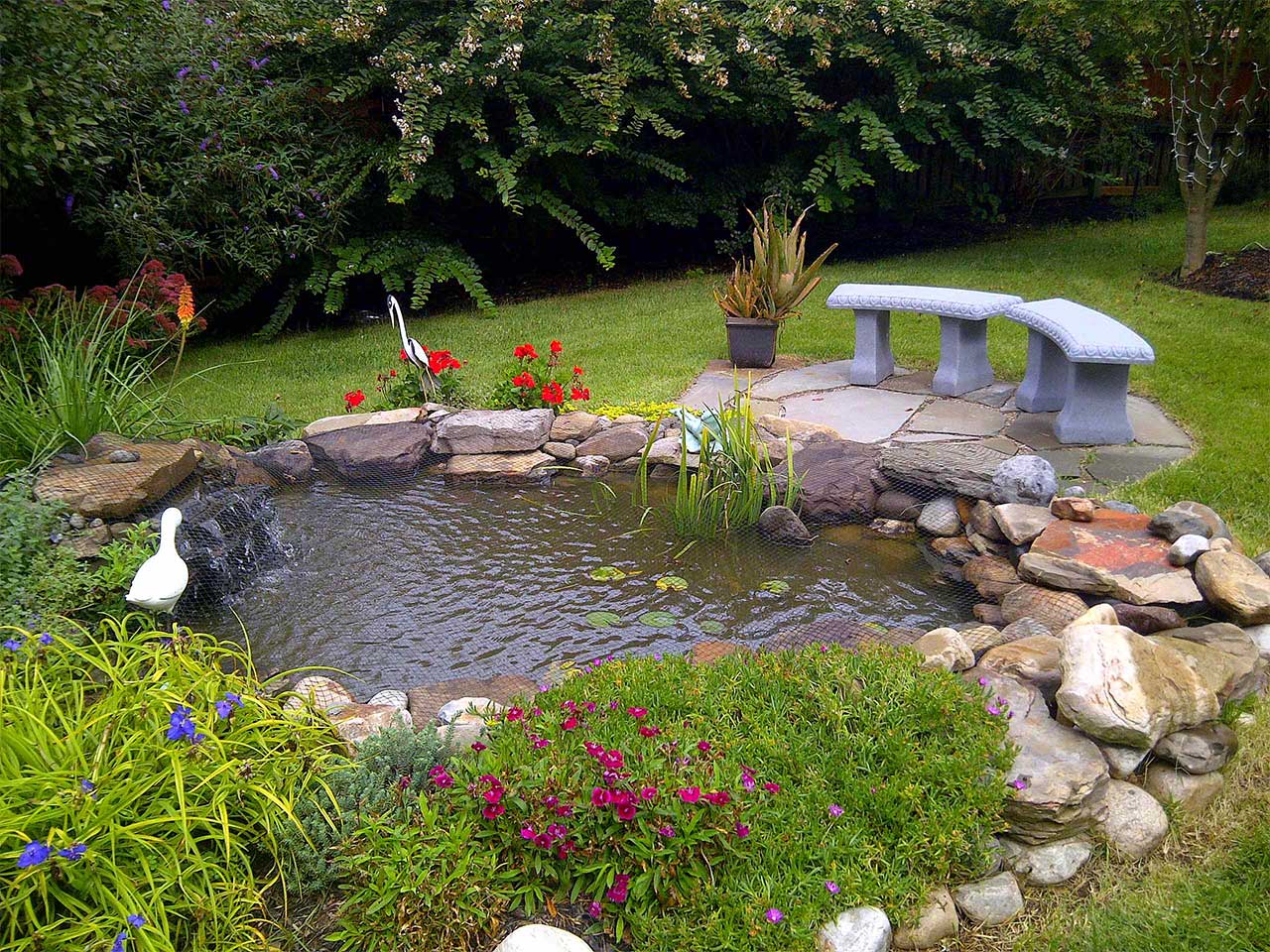 Backyard Pond Ideas