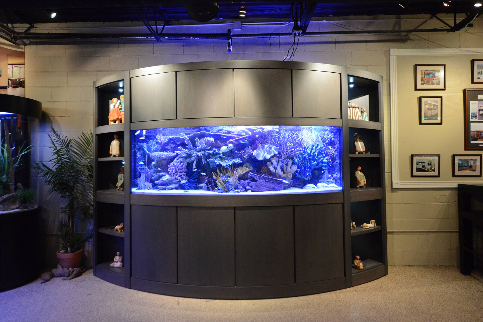 Fish Tank