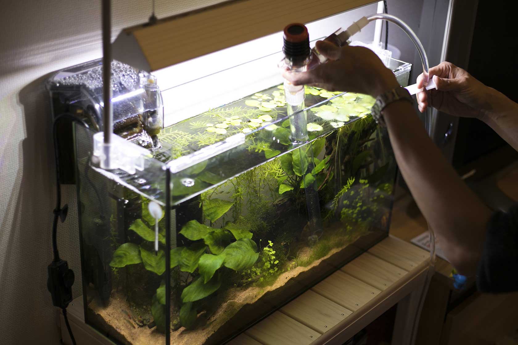 Aquarium