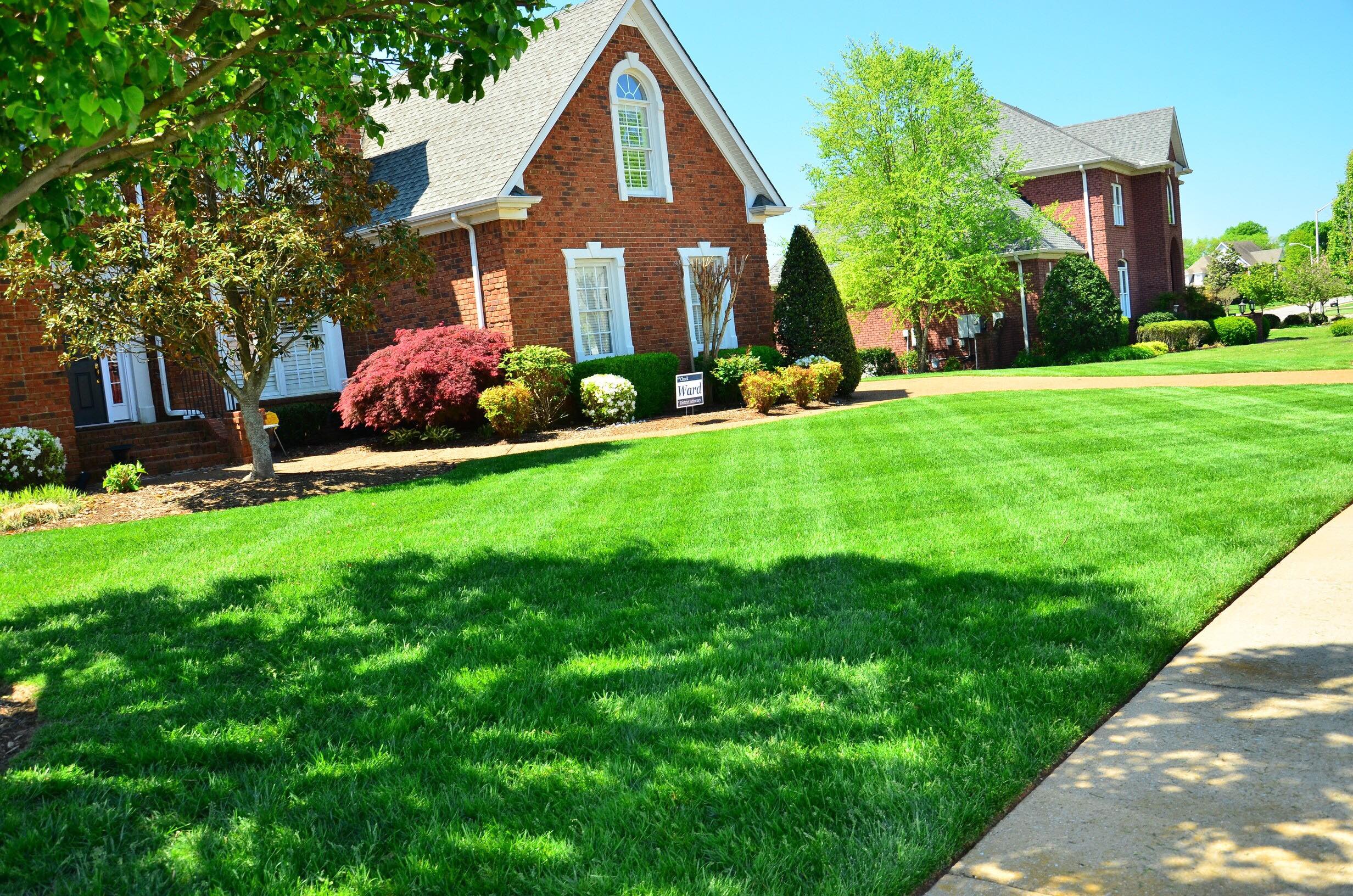 Beautiful Lawn